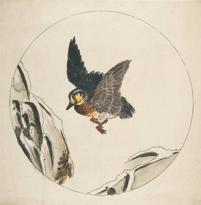 Decoración para un Plato: Un Pato volando sobre Ramas Cubiertas de Nieve, 1850-1914 de Felix Bracquemond