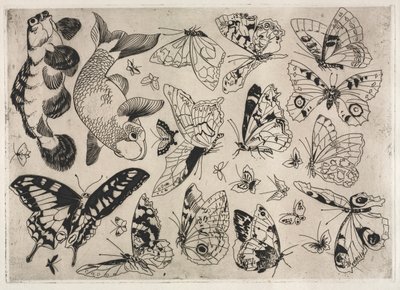 Servicio de Cena (servicio Rousseau): Mariposas y Peces (n.º 16) de Felix Bracquemond