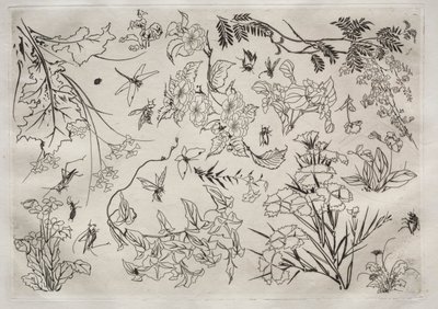 Servicio de Cena (servicio Rousseau): Flores (n.º 22) de Felix Bracquemond