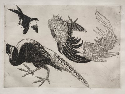 Servicio de Cena (servicio Rousseau): Faisanes y pájaro (n.º 18) de Felix Bracquemond