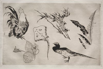 Servicio de Cena (servicio Rousseau): Gallos, raya, plantas, etc. (n.º 9) de Felix Bracquemond
