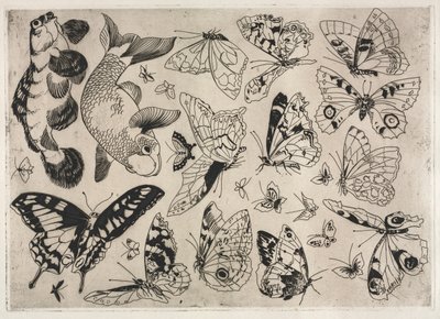 Servicio de cena Rousseau: Mariposas y Peces no. 16, 1866 de Felix Bracquemond