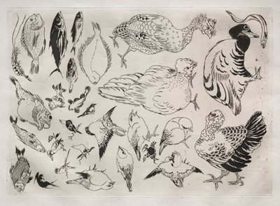 Servicio de Cena Rousseau: Patos, peces, etc. no. 12 de Felix Bracquemond