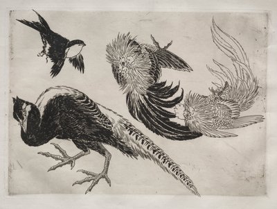 Servicio de cena Rousseau: Faisanes y pájaro n.° 18 de Felix Bracquemond