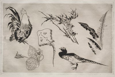 Servicio de cena Rousseau: Gallos, patines, plantas, etc. no. 9 de Felix Bracquemond