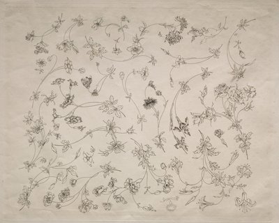 Diseños florales para platos y bordes (nº 14) de Felix Bracquemond