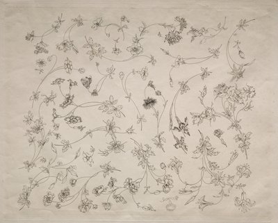 Diseños de flores para platos y bordes no. 14, 1872 de Felix Bracquemond