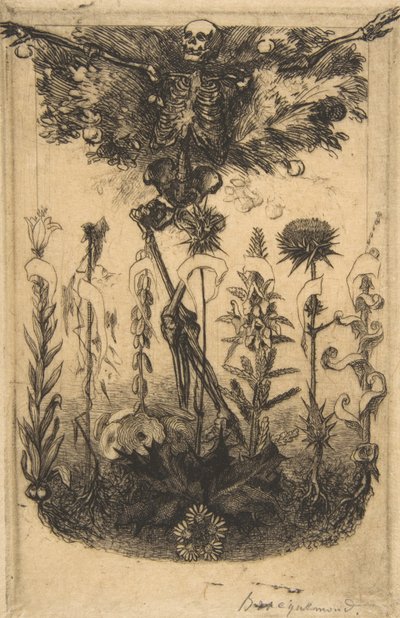 Frontispicio para Las Flores del Mal, 1857 de Felix Bracquemond