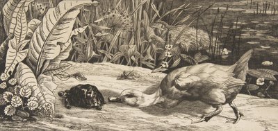 El desconocido, 1862 de Felix Bracquemond