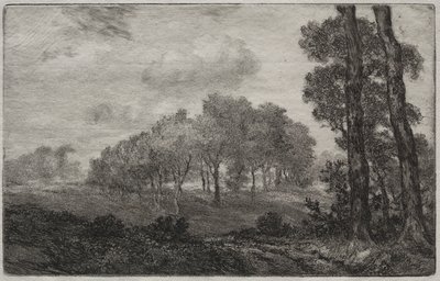 Paisaje, después de Français de Felix Bracquemond