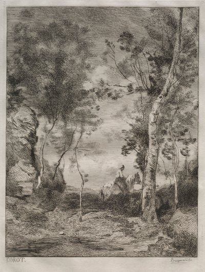 Paisaje, o El caballo blanco, después de Corot de Felix Bracquemond