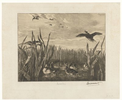 Paisaje con cercetas en el agua entre juncos
Sarcelles (título en el objeto) de Felix Bracquemond