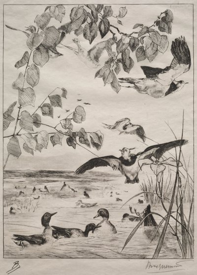 Avefrías y Cercetas de Felix Bracquemond