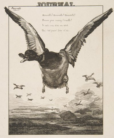 El pato, 1856 de Felix Bracquemond
