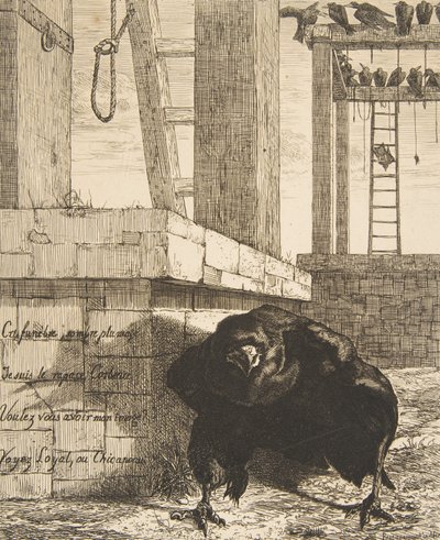 El cuervo, 1859 de Felix Bracquemond