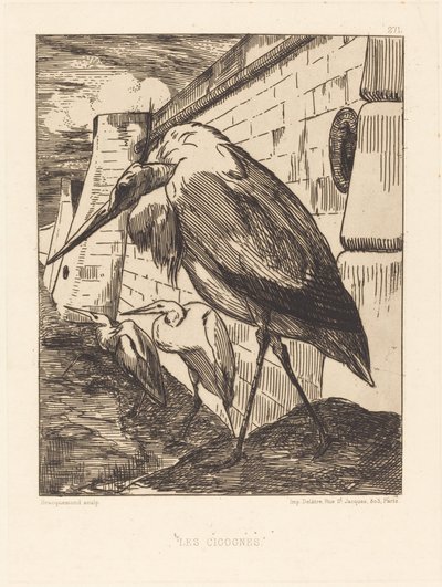 Las Cigüeñas de Felix Bracquemond