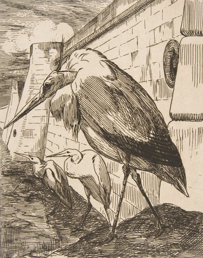 Las cigüeñas, 1870s de Felix Bracquemond