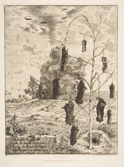 Los topos, 1854 de Felix Bracquemond