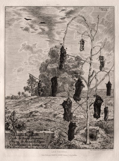lunares de Felix Bracquemond