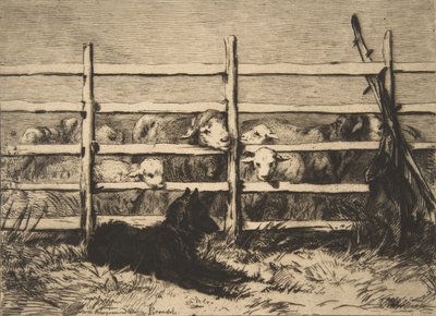 Ovejas en el corral de Felix Bracquemond