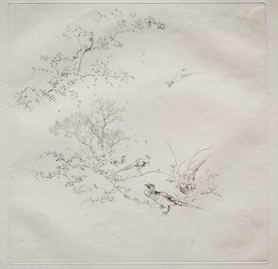 Servicio parisino (servicio Haviland) de Felix Bracquemond