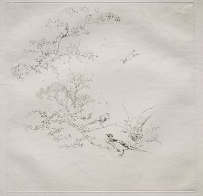 Servicio parisino (servicio Haviland): Niebla (no. 1) de Felix Bracquemond