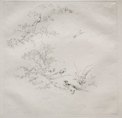 Servicio parisino Haviland: Niebla no. 1, 1875 de Felix Bracquemond