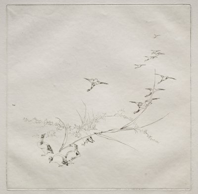 Servicio parisino Haviland: Derecho al sol no. 9, 1875 de Felix Bracquemond