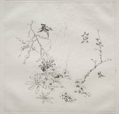 Servicio parisino Haviland: Nieve no. 6, 1875 de Felix Bracquemond