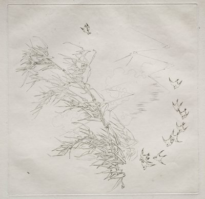 Servicio parisino Haviland: La tormenta no. 8, 1875 de Felix Bracquemond