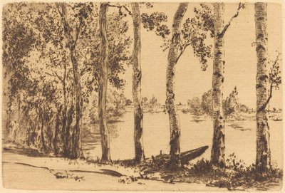 Álamos a lo largo del Sena de Felix Bracquemond