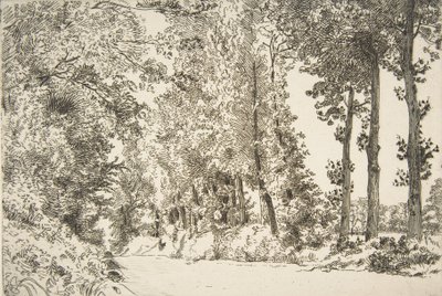 Rue des Bruyères, en Sèvres, 1868 de Felix Bracquemond