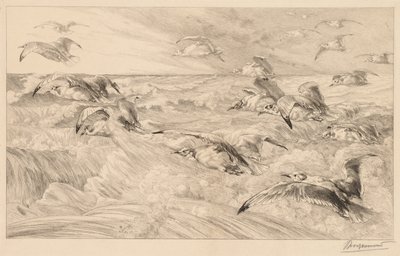 Gaviotas de Felix Bracquemond