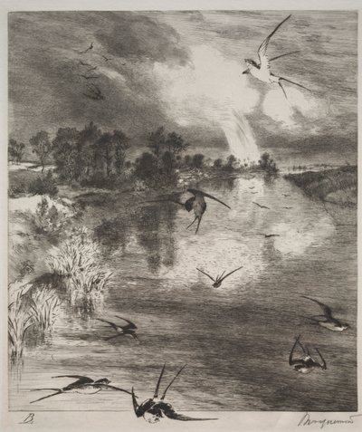 Golondrinas de Felix Bracquemond
