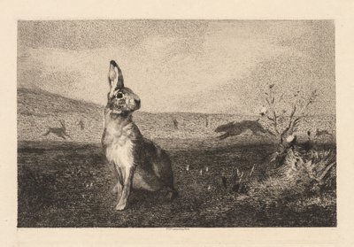 La liebre de Felix Bracquemond