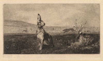 La liebre, 1865 de Felix Bracquemond