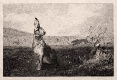 La liebre después de A. de Balleroy, 1865 de Felix Bracquemond