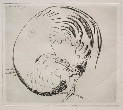El servicio de alta cocción: Gallo, c. 1860 de Felix Bracquemond