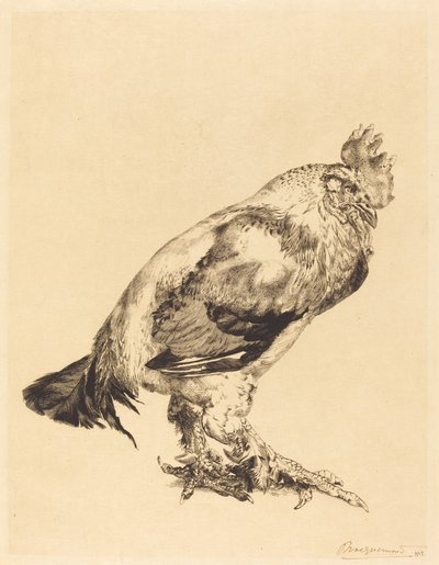 El Viejo Gallo de Felix Bracquemond