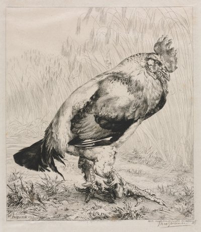 El viejo gallo, 1882 de Felix Bracquemond