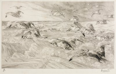 The Seagulls de Felix Bracquemond