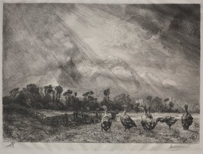 La nube de tormenta de Felix Bracquemond