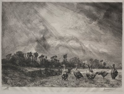 La nube de tormenta, 1878-1887 de Felix Bracquemond