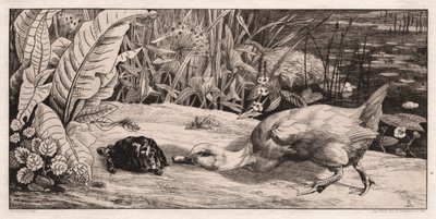 La desconocida de Felix Bracquemond