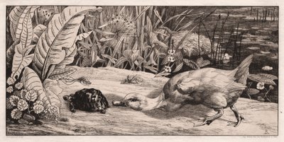 El desconocido, 1862 de Felix Bracquemond