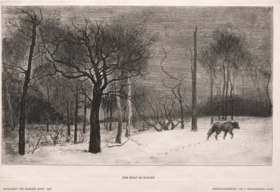 Invierno de Felix Bracquemond