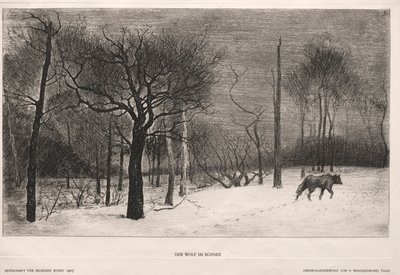 Invierno, 1862 de Felix Bracquemond