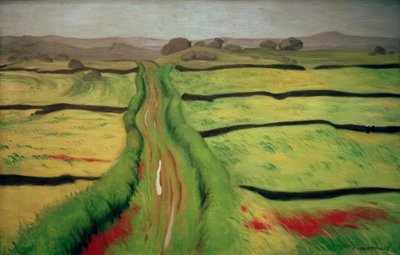 Camino en el páramo de Felix Edouard Vallotton