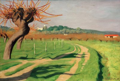 Valle de la Cagne de Felix Edouard Vallotton