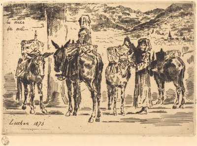 Hojas de Burros del Sur de Felix Hilaire Buhot